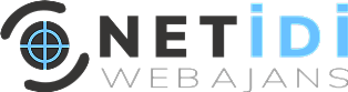 Kurumsal V4 - NETİDİ WEB AJANS