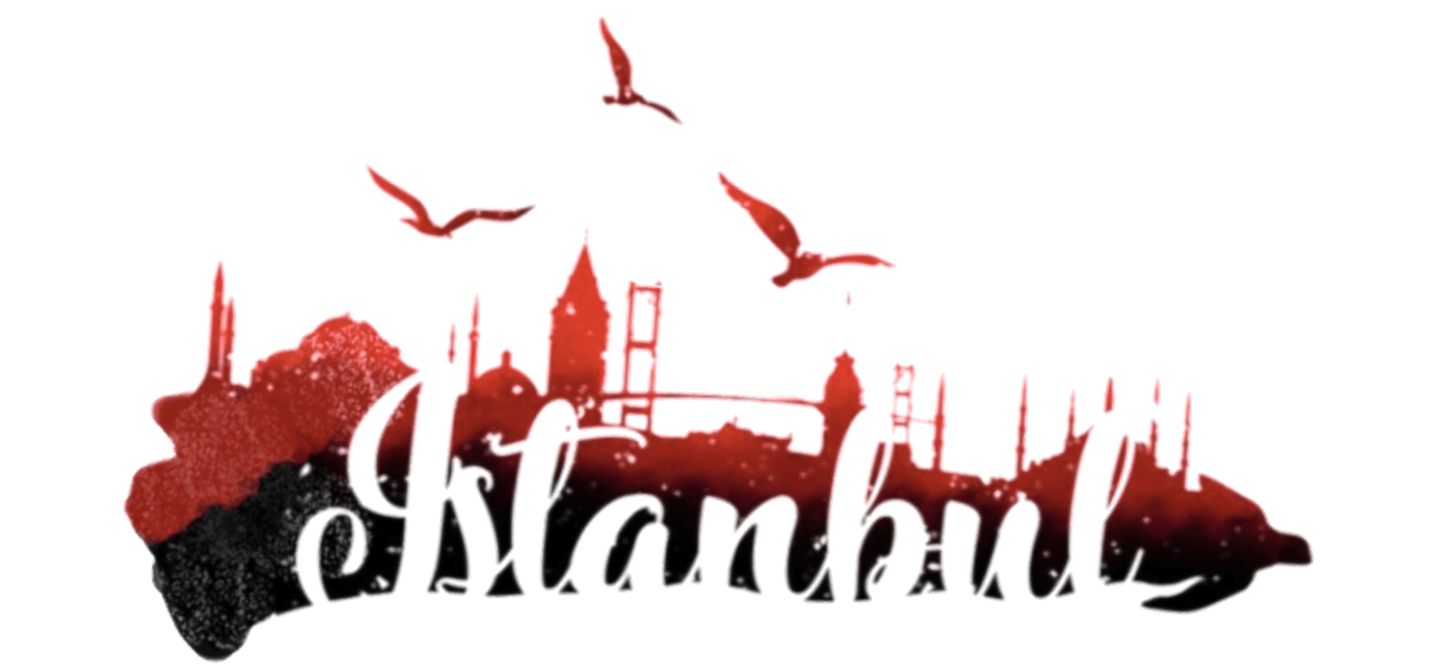 İstanbul Organizasyon